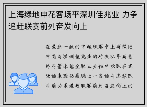 上海绿地申花客场平深圳佳兆业 力争追赶联赛前列奋发向上