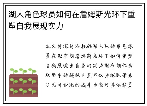 湖人角色球员如何在詹姆斯光环下重塑自我展现实力