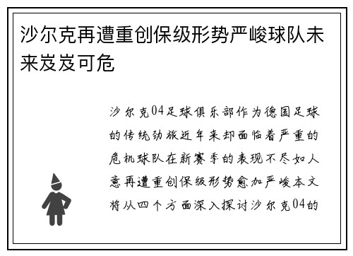 沙尔克再遭重创保级形势严峻球队未来岌岌可危