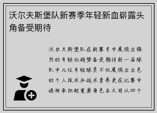 沃尔夫斯堡队新赛季年轻新血崭露头角备受期待