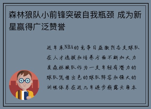 森林狼队小前锋突破自我瓶颈 成为新星赢得广泛赞誉