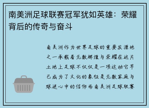 南美洲足球联赛冠军犹如英雄：荣耀背后的传奇与奋斗